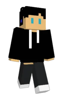 Dolphin1012 Minecraft avatar full body
