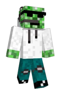 Dolphinsr1 Minecraft avatar full body