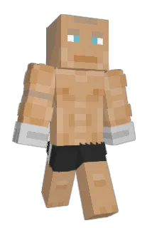 Domesqu Minecraft avatar full body