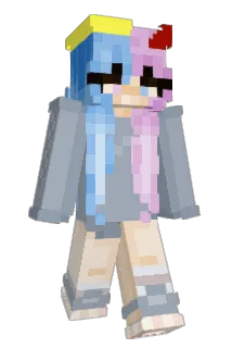 Domi2211 Minecraft avatar full body