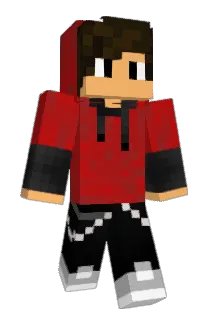 Domi8899 Minecraft avatar full body