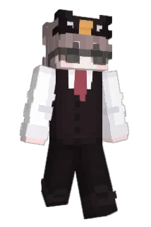 Domijlunch Minecraft avatar full body