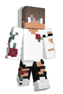 Dominik15 Minecraft avatar full body