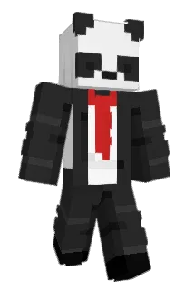 Domisnickers3 Minecraft avatar full body