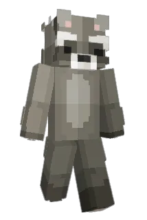 Domiszop Minecraft avatar full body