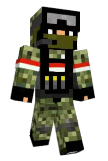 DomixBx Minecraft avatar full body
