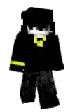DomoPro Minecraft avatar full body