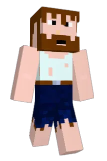 DonHult Minecraft avatar full body