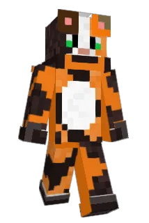 DonMisifu Minecraft avatar full body