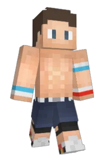 DonPianta55 Minecraft avatar full body