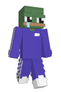 DonPitote Minecraft avatar full body