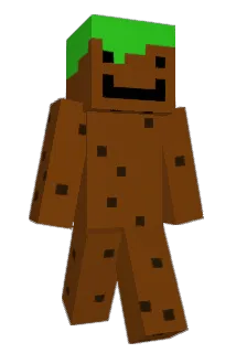 DonTomKane Minecraft avatar full body