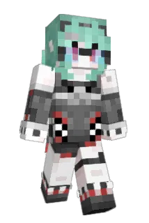 Don_Tu307 Minecraft avatar full body