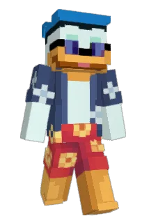 DonaId Minecraft avatar full body