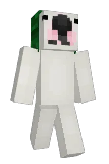 Donaal Minecraft avatar full body