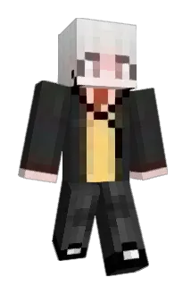 Doneimportant Minecraft avatar full body