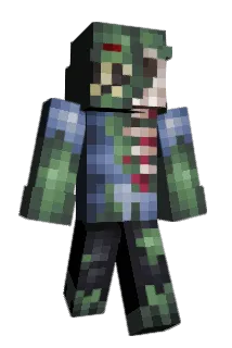 Dongdong Minecraft avatar full body