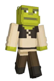 Donhs Minecraft avatar full body