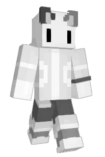 Donier87 Minecraft avatar full body