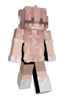 Donke69 Minecraft avatar full body