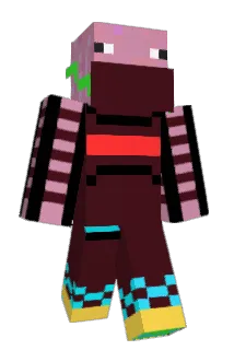 Donkey69420 Minecraft avatar full body