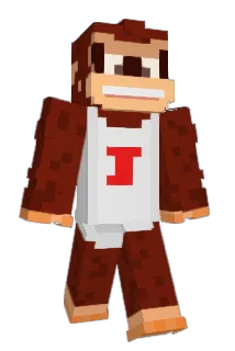 DonkeyKong_Jr Minecraft avatar full body