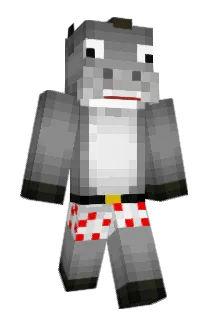 Donkey_69 Minecraft avatar full body