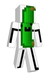 Donkeyballs9 Minecraft avatar full body