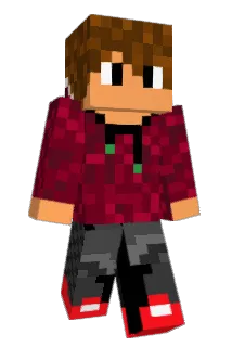 Donkeykong435 Minecraft avatar full body