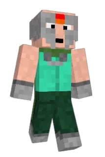 Donkiflex Minecraft avatar full body