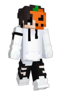 Donny_db Minecraft avatar full body