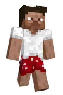DontForgetMee8 Minecraft avatar full body