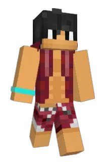 DonutEatingBacca Minecraft avatar full body