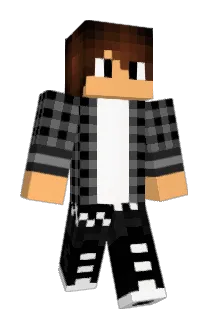 Donutpro Minecraft avatar full body