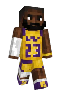 Doodlez8 Minecraft avatar full body