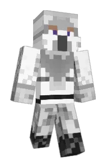 Doodoo_Head Minecraft avatar full body