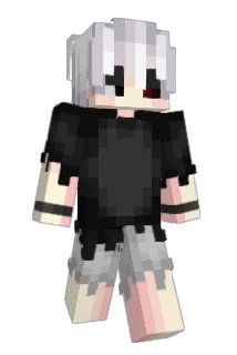 DoogliBoogli Minecraft avatar full body