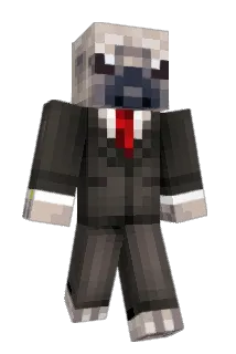Doogry Minecraft avatar full body