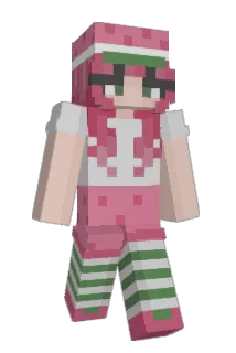 Dookiebook234 Minecraft avatar full body