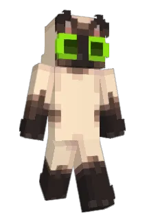 Doopyy_ Minecraft avatar full body