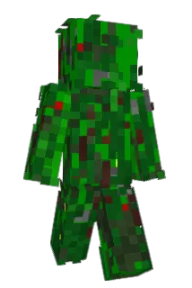 Doorrii Minecraft avatar full body