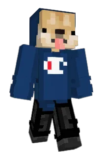 DoppaDoge Minecraft avatar full body