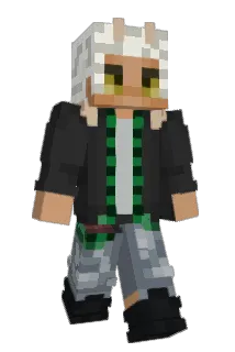 Dorogon01 Minecraft avatar full body