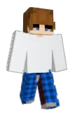 Dorted Minecraft avatar full body