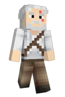 Dorteil Minecraft avatar full body