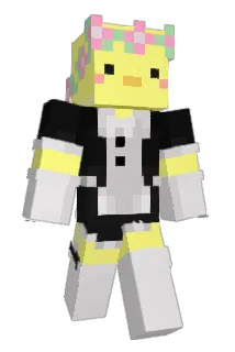 Dottipie Minecraft avatar full body