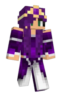 Dottled Minecraft avatar full body