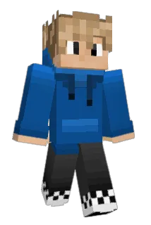 Double___A Minecraft avatar full body