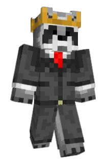 DougRaccooon Minecraft avatar full body