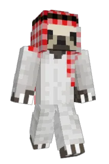 Dowden11 Minecraft avatar full body